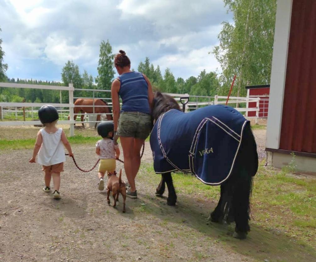 Bb Polle - With The Horse View Apartment Mikkeli Exterior photo